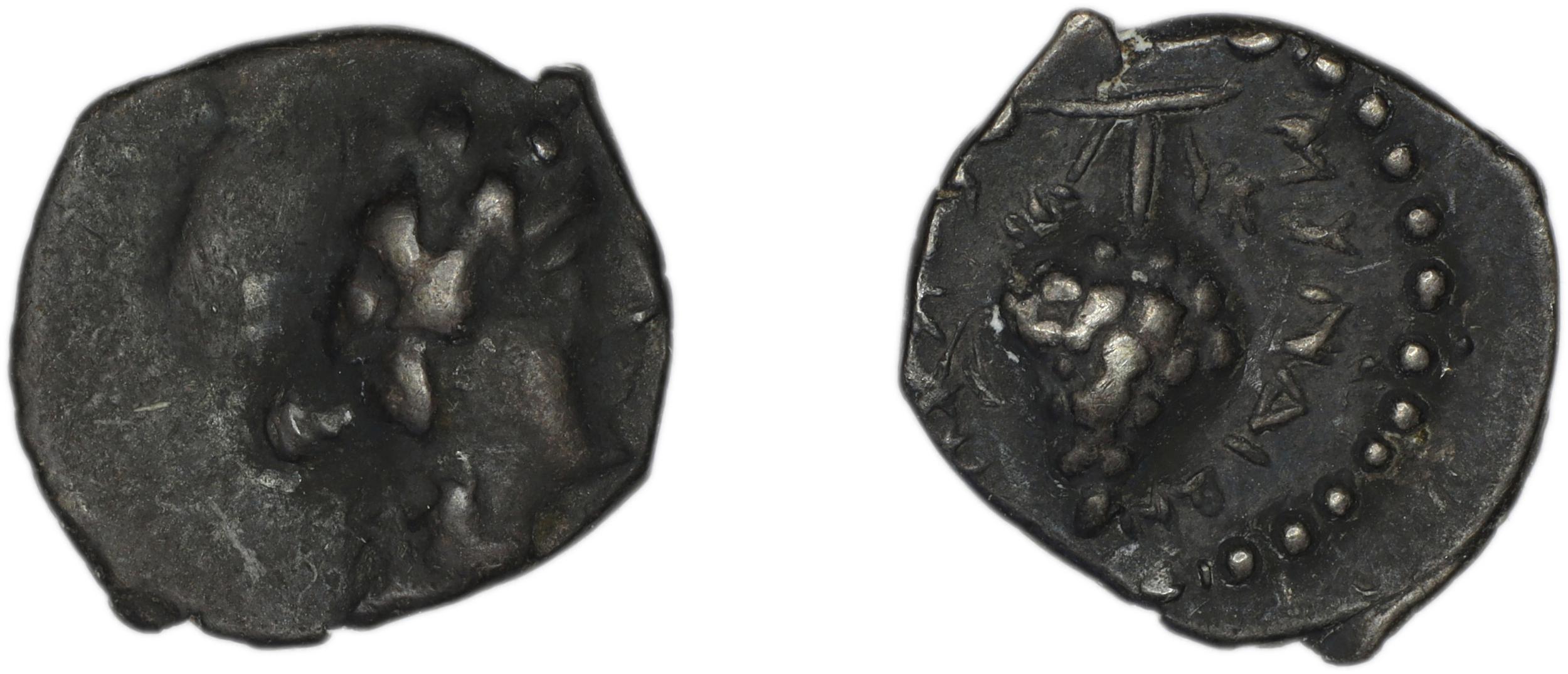 Myndus Zabel and Meadows 2002 Group C Trihemiobols, аверс, bm
