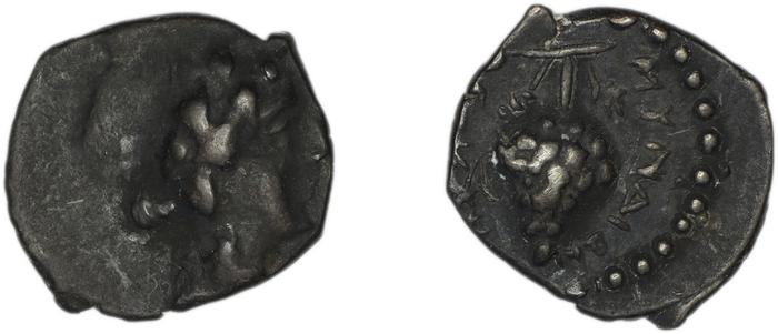Myndus Zabel and Meadows 2002 Group C Trihemiobols, реверс, bm
