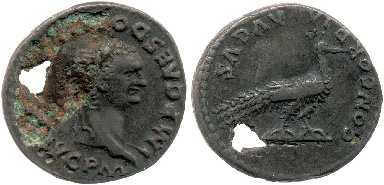 RIC II, Part 1 (second edition) Domitian 151, аверс, bm