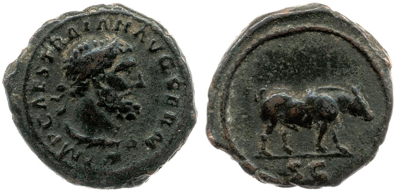 RIC II Trajan 702, аверс, bm