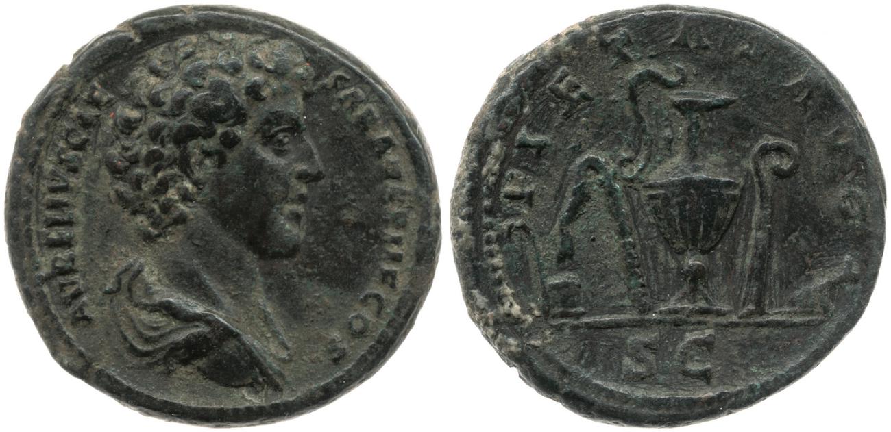 RIC III Antoninus Pius 1240b, аверс, Британский музей