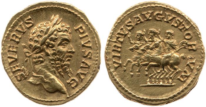 reverse RIC IV Septimius Severus 305