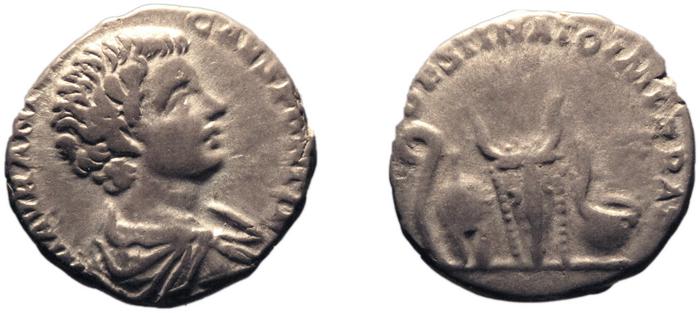 reverse RIC IV Caracalla 6