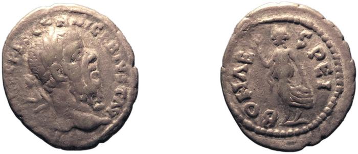 реверс RIC IV Pescennius Niger 3C