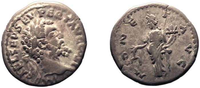 RIC IV Septimius Severus 411A, реверс, bm