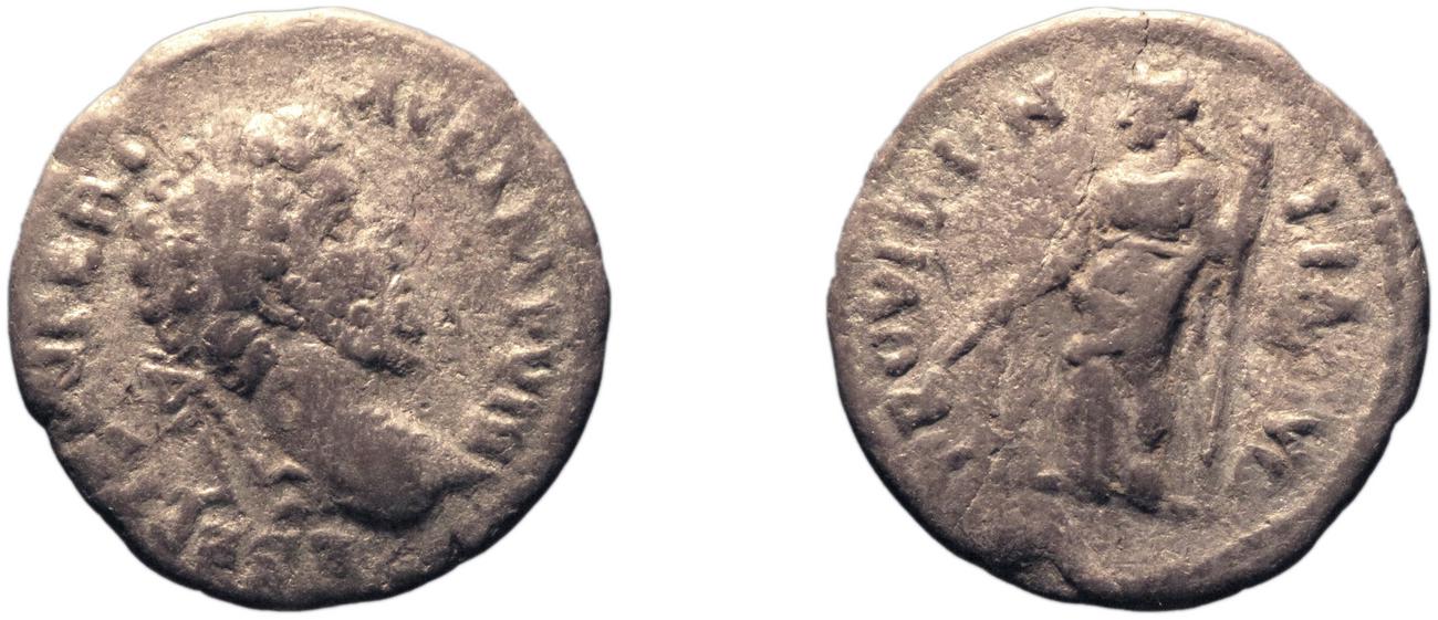 аверс RIC IV Septimius Severus 491A