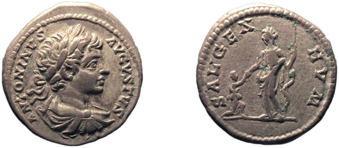 reverse RIC IV Caracalla 42C