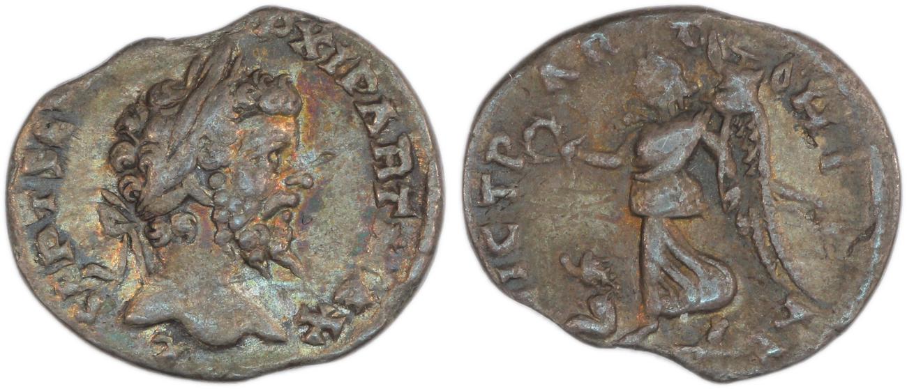 аверс RIC IV Septimius Severus 514