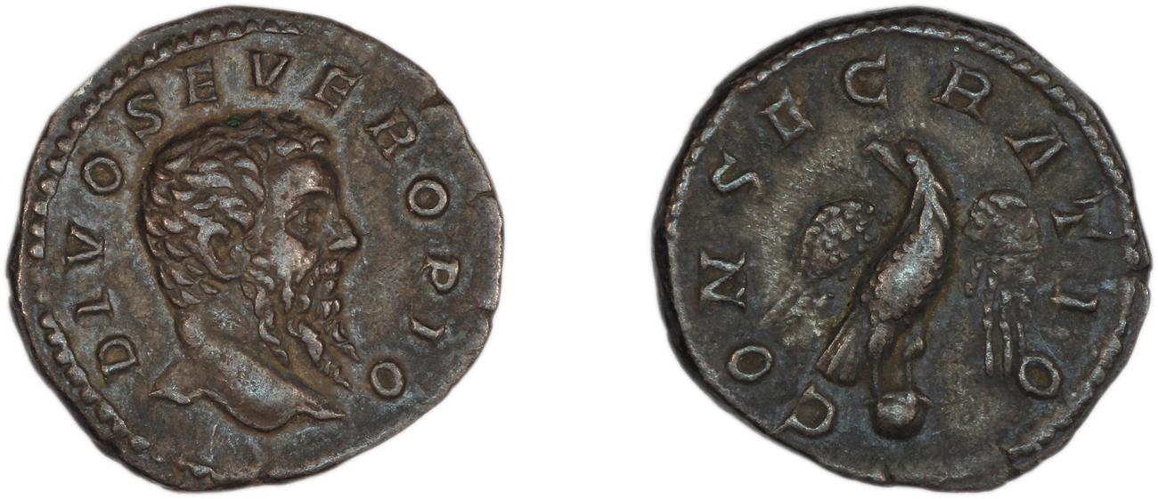 RIC IV Caracalla 191C, аверс, Британский музей