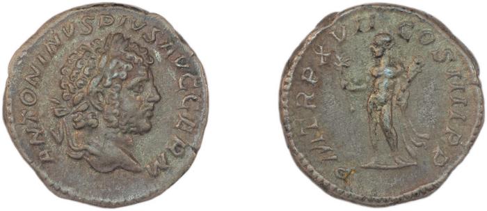 reverse RIC IV Caracalla 239