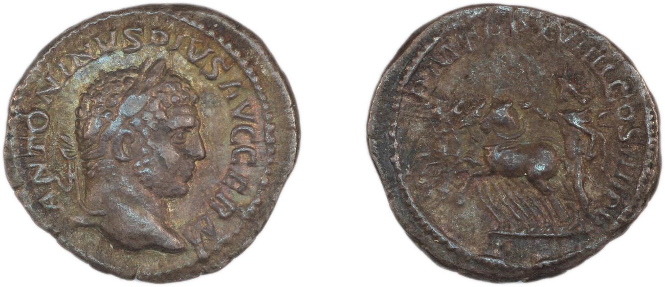 obverse RIC IV Caracalla 282F