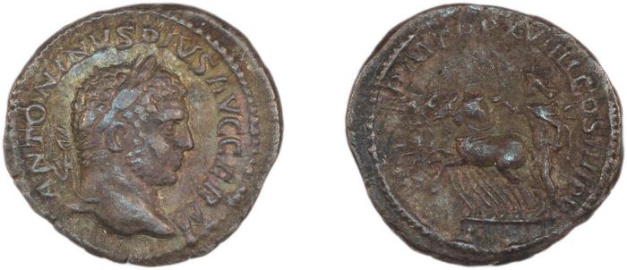 reverse RIC IV Caracalla 282F
