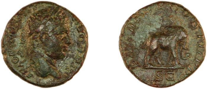RIC IV Caracalla 495, реверс, bm