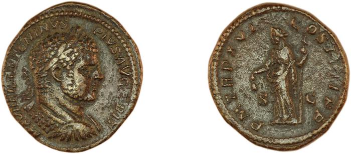 reverse RIC IV Caracalla 498B