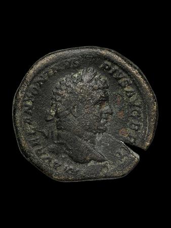 reverse RIC IV Caracalla 499A