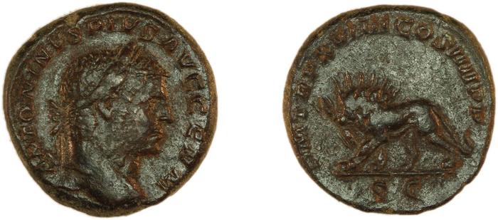 reverse RIC IV Caracalla 564A