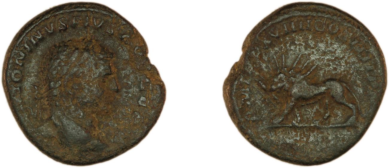 RIC IV Caracalla 564A, аверс, Британский музей