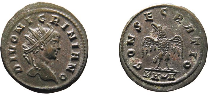 реверс RIC V Carus 472