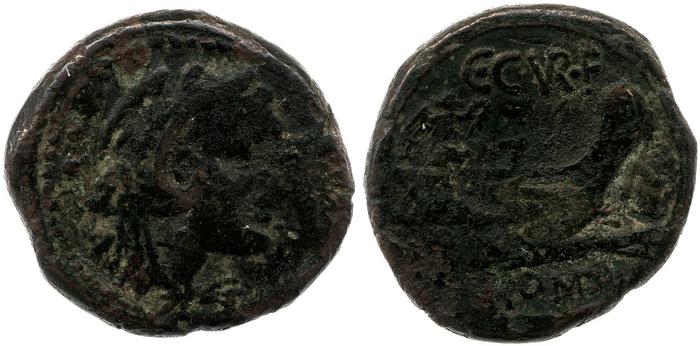 reverse RRC 240/4a