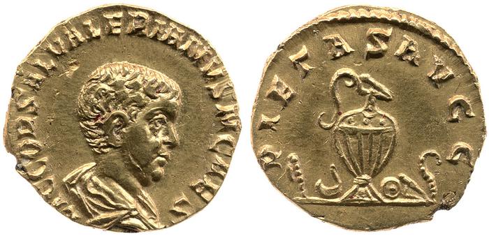 реверс RIC V Saloninus 17