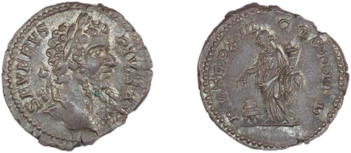 RIC IV Septimius Severus 200, реверс, bm