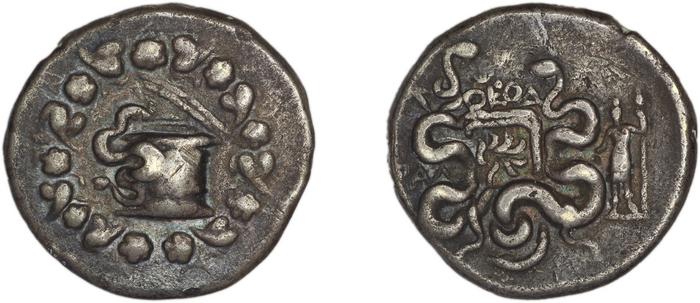 реверс Tralles Carbone 2020 XXXI, tetradrachms