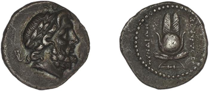 Myndus Zabel and Meadows 2002 Group A, реверс, bm