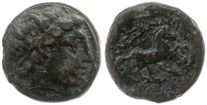 Price 339, реверс, bm