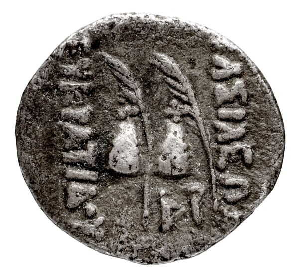 Bactrian and Indo-Greek Coinage Lysias 15.1, реверс, bnf-bigr