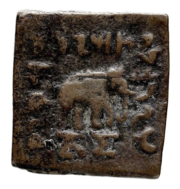 реверс Bactrian and Indo-Greek Coinage Antialcidas 15.2