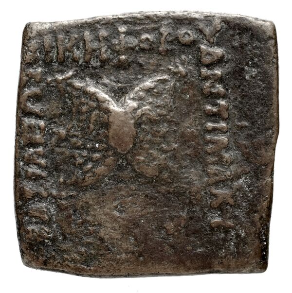 Bactrian and Indo-Greek Coinage Antimachus II 2.2, аверс, bnf-bigr