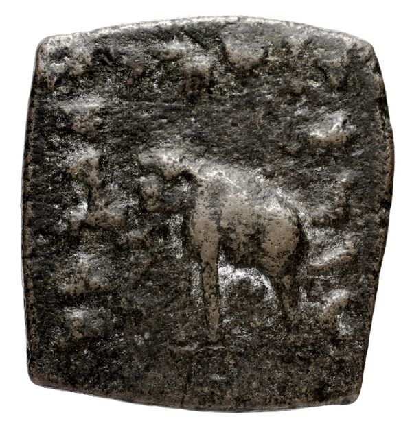Bactrian and Indo-Greek Coinage Archebius 11.2, реверс, bnf-bigr