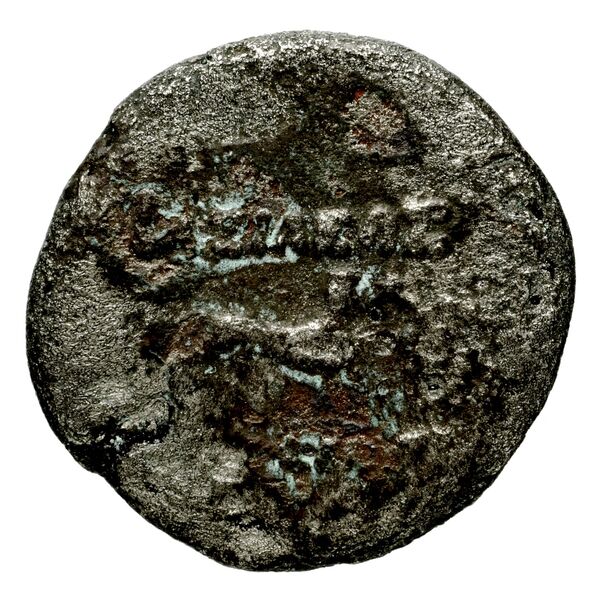 реверс Bactrian and Indo-Greek Coinage Agathocles 17