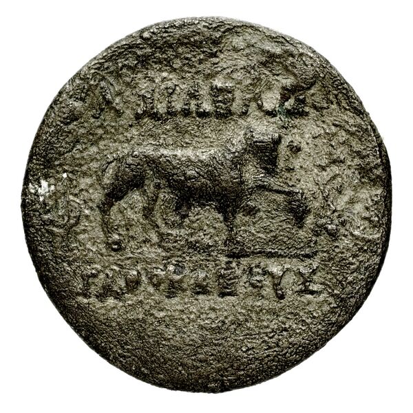 реверс Bactrian and Indo-Greek Coinage Agathocles 17.1