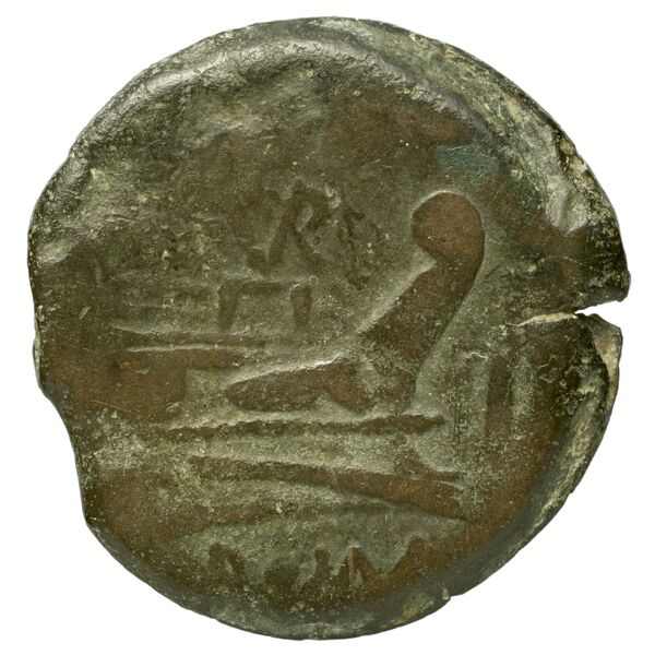 reverse RRC 155/2