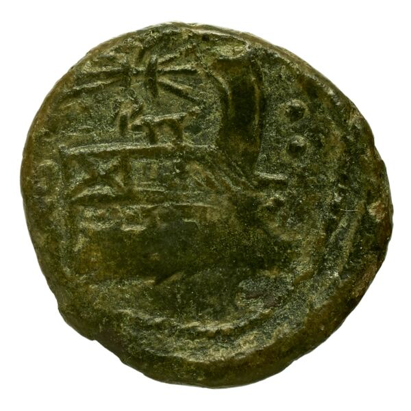reverse RRC 119/7