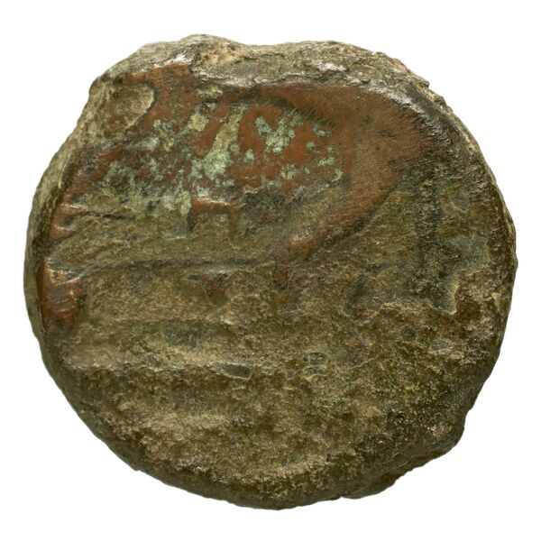 reverse RRC 312/4