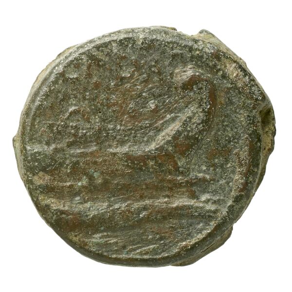 reverse RRC 338/4b