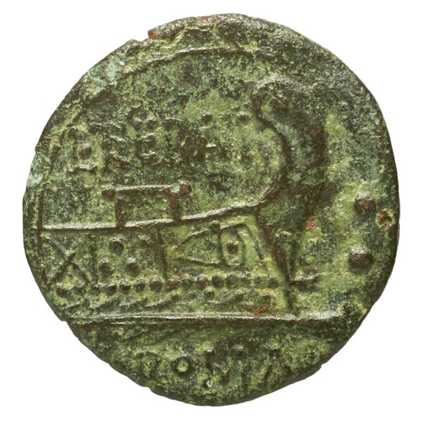 reverse RRC 241/5