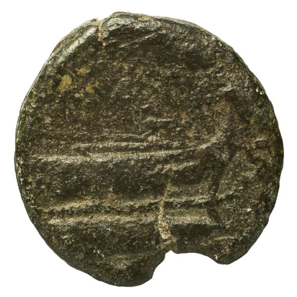 reverse RRC 228/3