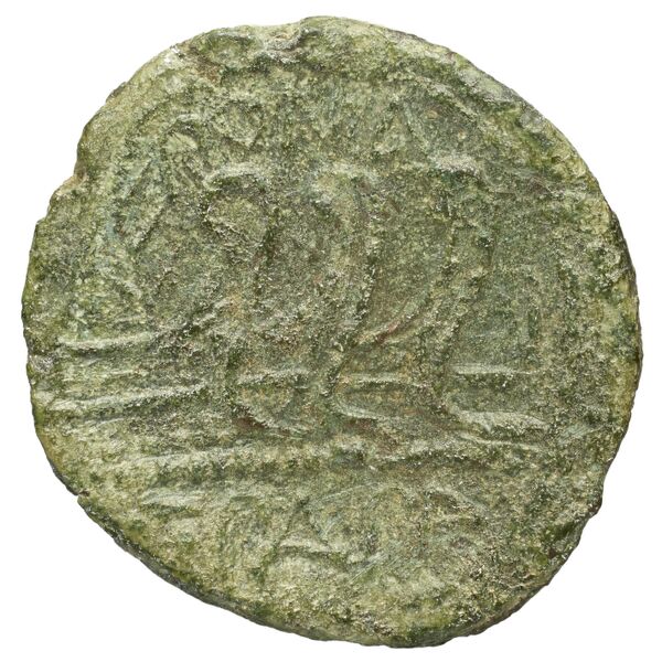 reverse RRC 342/7d