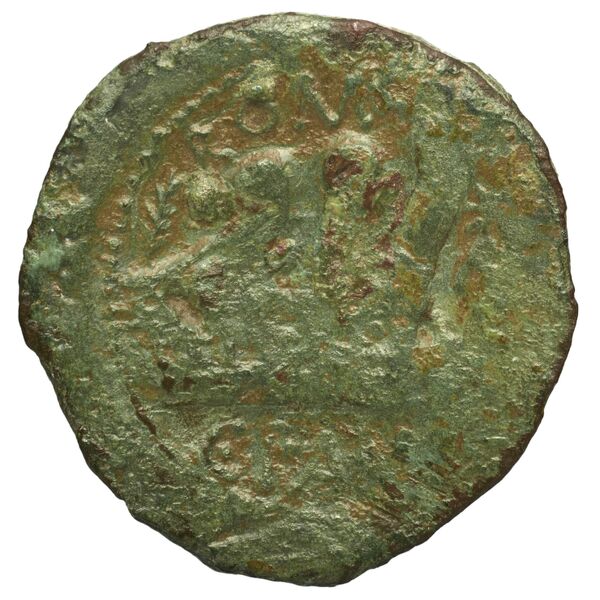 reverse RRC 342/7c