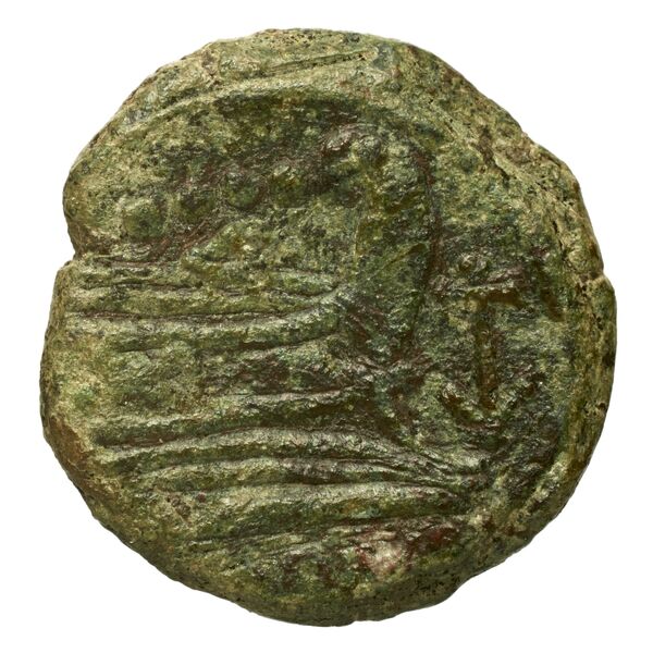 reverse RRC 194/3