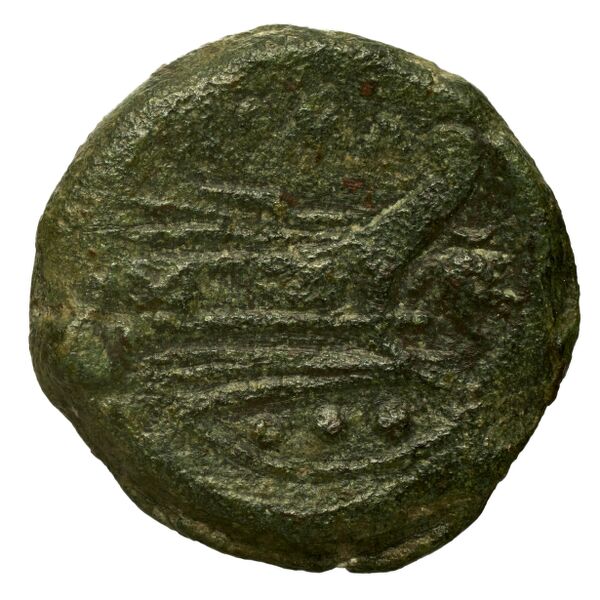 reverse RRC 118/4