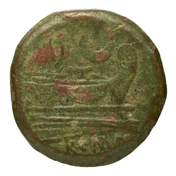 reverse RRC 137/2