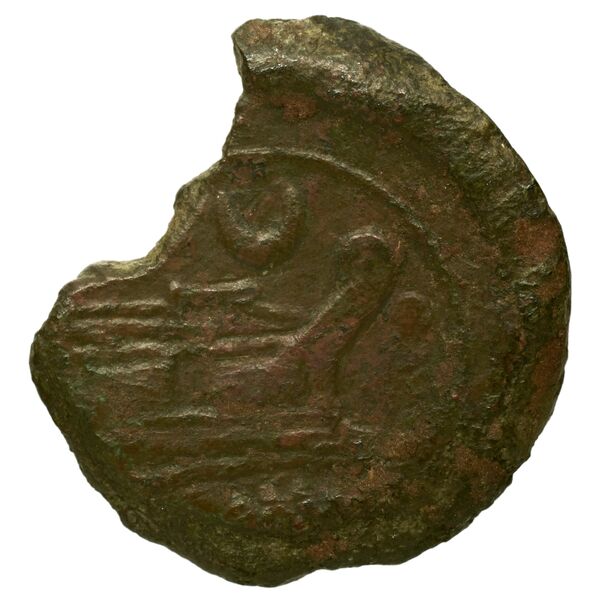 reverse RRC 137/6