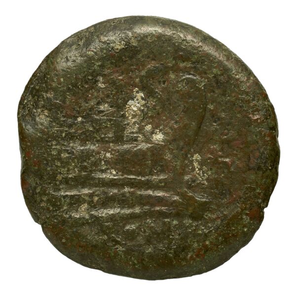 reverse RRC 119/4