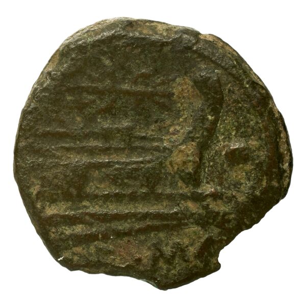 reverse RRC 119/8