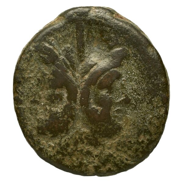 obverse RRC 116/2