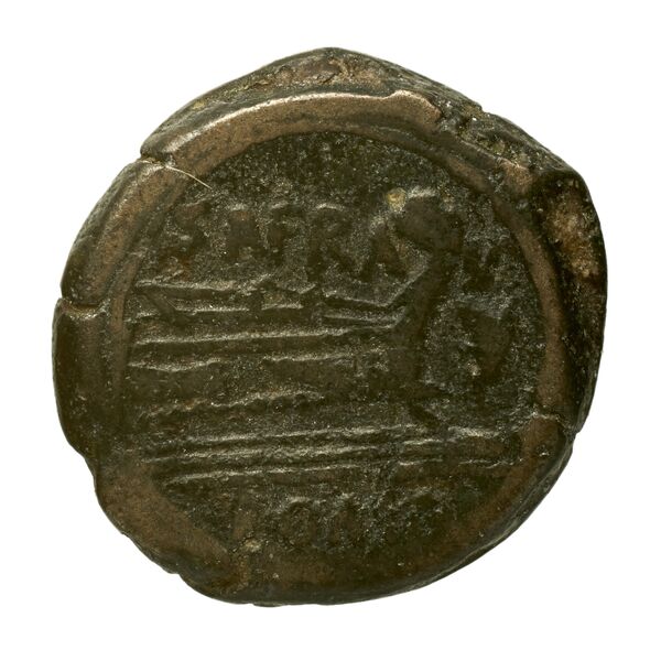reverse RRC 206/6